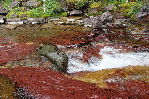Strom, Fluss, fallen, Wasser, Natur, Wald, fließend, still, keine Leute, draußen, Tag, Nahansicht, Rock, solide, Schönheit in der Natur, Rock - Objekt, fließendes Wasser, wird heruntergeladen, Bewegung, Baum, Land, Pflanze, High Angle View, Szenen - Natur, flach, 5K, CC0, gemeinfrei, lizenzfrei