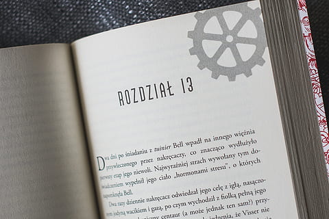 libro, lettura, formazione scolastica, conoscenza, bianca, divertimento, vacanze, riposo, letteratura, steampunk, fantastico, testo, comunicazione, pubblicazione, carta, vista dall'alto, sceneggiatura occidentale, in casa, avvicinamento, nessuno, natura morta, apprendimento, giorno, messa a fuoco selettiva, bloc notes, direttamente sopra, pagina, 4K, CC0, dominio pubblico, privo di copyright