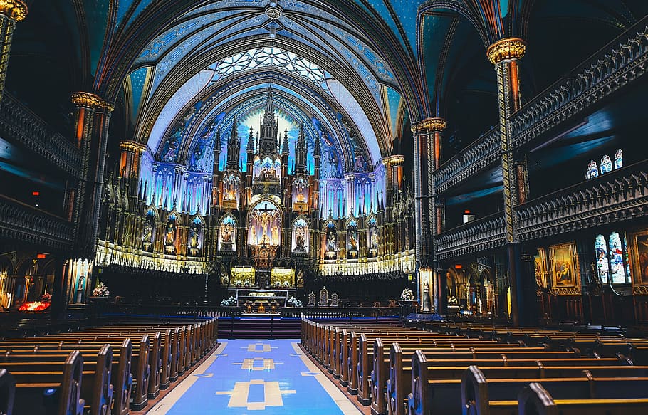 catedral, interior, blau, porpra, sostre, Església, religió, a l'interior, cristianisme, espiritualitat, arquitectura, Dins de, catolicisme, lloc de culte, història, estructura construïda, creença, edifici, exterior de l'edifici, pew, il·luminat, altar, banc, persones incidentals, arc, vidre, passadís, ornamentat, arquitectura i art, 4K