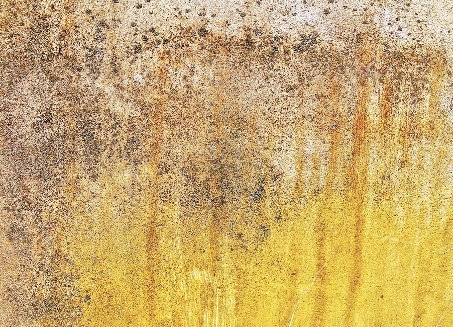 paret, estructura, guix, textura, fons, grunge, vintage, concret, resistent, paret de formigó, brut, esquerdat, envelliment, patró, crack, fràgil, pàtina, irregular, la fugacitat, marc complet, groc, cap gent, metall, funció de construcció de parets, vell, primer pla, dia, rovellat, estructura construïda, declivi, aspre, deteriorament, arquitectura, mal estat, aixafar, 2K