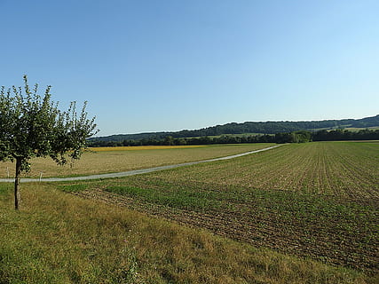 peisaj, câmpuri, arabil, natură, cer, plantă, camp, teren, mediu inconjurator, o scenă liniștită, liniște, cer senin, creştere, rural, agricultură, scenice - natura, frumusețe în natură, iarbă, copac, nici o persoana, spațiu copie, albastru, în aer liber, 4K, CC0, domeniu public, fără drepturi de autor