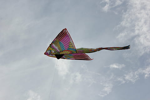 Drage, himmel, skyer, vind, sky - himmel, lav vinkel visning, flying, dag, natur, multi farget, ingen folk, i lufta, kite - leketøy, kunst og Håndverk, bevegelse, dyr representasjon, kreativitet, miljø, utendørs, representasjon, flagg, 5K, CC0, offentlig domene, opphavsrett gratis