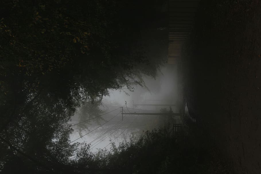 calent ', vista d'ulls, negre, arbre, boira, fosc, carretera, buit, línia elèctrica, fora, camí, poble, camp, tanca, ombra, myst, planta, naturalesa, tranquil·litat, aigua, escena tranquil·la, reflexió, bellesa a la natura, cap gent, creixement, a l'aire lliure, bosc, llac, escenics - natura, dia, transport, vista d’angle alt, 5K