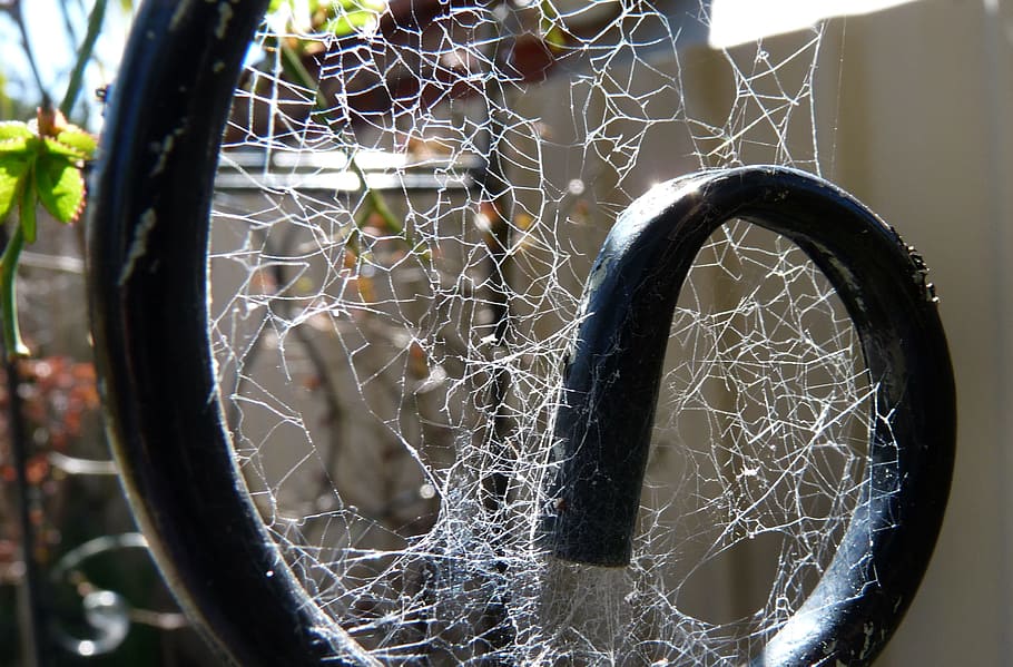 Spinnennetz, Spinne, Garten, keine Leute, Nahansicht, Fokus auf den Vordergrund, Metall, Muster, Tag, drinnen, gestalten, Design, verlassen, Zerbrechlichkeit, beschädigt, Vollbild, Komplexität, Transport, natürliches Muster, schwarze Farbe, Zerstörung, verheddert, 2K