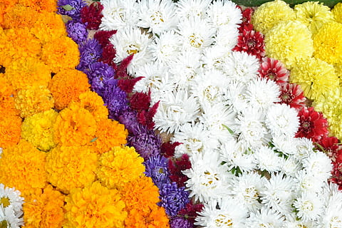 blomster, floral, mønster, blomstermønster, blomst, gul, hvit farge, levende farge, detaljhandel, nærbilde, blomstrende plante, sårbarhet, skjørhet, anlegg, friskhet, natur, skjønnhet i naturen, multi farget, ingen folk, blomsterkrans, blomsterdekorasjon, blomsterhodet, krysantemum, Religion, bukett, blomstermarkedet, 4K, CC0, offentlig domene, opphavsrett gratis