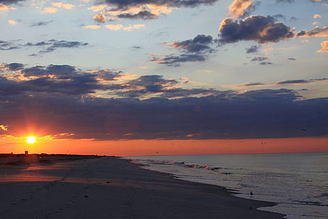 plaża, Fala oceaniczna, ptak, mewa, słońce, ocean, fala, chmury, piasek, brzask, wschód słońca, świt, zachód słońca, morze, Natura, piękno natury, scenics, niebo, woda, chmura - niebo, wylądować, scenics - natura, horyzont, horyzont nad wodą, spokój, spokojna scena, kolor pomarańczowy, scena pozamiejska, światło słoneczne, na dworze, żadnych ludzi, odpływ, 720P, CC0, domena publiczna, darmowe zdjęcia