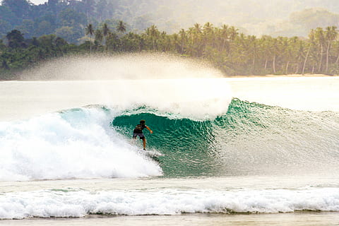 person surfboarding, huge, wave, daytime, man surfing, big, waves, surf, surfer, tree, sea, ocean, splash, forest, beach, tropical, adventure, motion, water, sport, aquatic sport, surfing, one person, power in nature, speed, leisure activity, beauty in nature, extreme sports, day, power, men, skill, nature, outdoors, 4K, CC0, public domain, royalty free