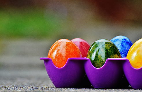 berwarna, telur, ungu, rak, Paskah, Telur Paskah, penuh warna, Selamat Hari Paskah, warna, makanan, multi-warna, kuning, musim, makan sehat, makanan dan minuman, kesegaran, tidak ada orang, fokus pada latar depan, kesejahteraan, buah, merapatkan, sayur-mayur, warna oranye, di luar rumah, variasi, hari, wadah, masih hidup, warna hijau, pilihan, labu, Jeruk, 5K, CC0, domain publik, bebas royalti
