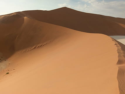 piasek, wydma, pustynia, Namibia, ślad, scenics - natura, wylądować, klimat, krajobraz, suchy klimat, środowisko, spokojna scena, spokój, zdalny, scena pozamiejska, piękno natury, Natura, dzień, niebo, Geografia fizyczna, żadnych ludzi, cele podróży, na dworze, atmosferyczny, 4K, CC0, domena publiczna, darmowe zdjęcia