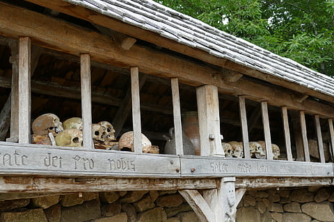 skull, bot, death, head, ossuary, d, architecture, built structure, building exterior, no people, day, animal, animal themes, group of animals, vertebrate, wood - material, building, low angle view, mammal, outdoors, nature, architectural column, animal wildlife, tree, railing, house, 5K, CC0, public domain, royalty free