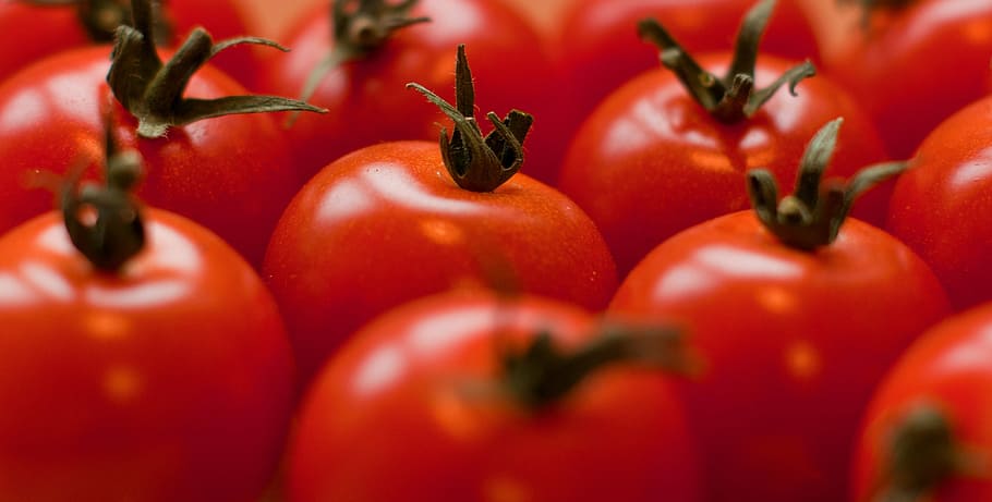 bunke, rød, tomater, frugt, tomat, mad, frisk, sund og rask, grøntsag, organisk, moden, farve, saftig, kirsebær, ernæring, spise, snack, lille, høst, vegetarisk, tæt på, mad og drikke, ingen mennesker, fuld ramme, sund kost, friskhed, indendørs, gruppe af objekter, velvære, selektiv fokusering, landbrug, medium gruppe af objekter, plante, studio skud, plantestamme, rå fødevarer, natur, Vegetarmad, 2K