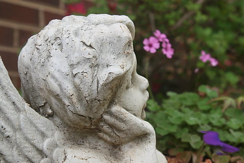 thinking, angel, small, decision, choice, trouble, undecided, statue, sculpture, architecture, art and craft, human representation, representation, creativity, female likeness, no people, craft, focus on foreground, male likeness, plant, close-up, sadness, day, flower, flowering plant, solid, cemetery, nature, stone material, outdoors, purple, 4K, CC0, public domain, royalty free