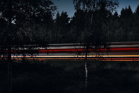 fotografia temporizată, copaci, drum, lumini, întuneric, cer, cale, natură, trompă, plante, viteză, expunere lungă, traseu de lumină, mişcare, mișcare încețoșată, noapte, trafic, roșu, transport, copac, plantă, nici o persoana, mijloc de transport, iluminat, în aer liber, în mișcare, oraș, creştere, lumina coada, 2K, CC0, domeniu public, fără drepturi de autor