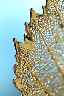 oro, foglia, fragile, design, natura, d'oro, fogliame, struttura, nessuno, color oro, avvicinamento, messa a fuoco selettiva, blu, Inquadratura dal basso, cielo, cielo sereno, girato in studio, modello, decorazione, giorno, arte e artigianato, natura morta, in casa, concentrarsi sulle conoscenze acquisite, brillante, metallo, ornato, lusso, 4K, CC0, dominio pubblico, privo di copyright