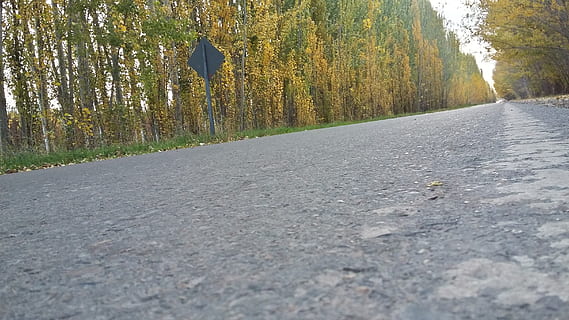 chemin, route, Piste, paysage, la nature, marche, route rurale, Montagne, arbre, plante, la voie à suivre, direction, transport, journée, l'automne, personne, tranquillité, asphalte, beauté dans la nature, croissance, scène tranquille, à la surface, signe, perspective décroissante, terre, paysages - nature, changement, en plein air, longue, 2K, CC0, domaine public, libre de droits
