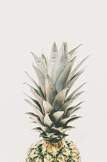 pineapple fruit, pineapple, dessert, appetizer, fruit, juice, crop, studio shot, white background, leaf, food and drink, freshness, no people, green color, food, indoors, tropical fruit, plant part, close-up, growth, copy space, plant, healthy eating, cut out, still life, spiky, 5K, CC0, public domain, royalty free