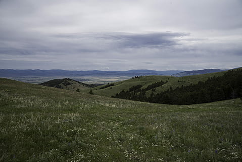 heuvellandschap, bergen, achtergrond, overlapping, heuvel, landschap, helena, wolken, Aanbevolen, gras, heuvels, publiek domein, hemel, Verenigde Staten, natuur, Vakantiebestemmingen, weide, wolk - lucht, buitenshuis, landelijke scène, groene kleur, zomer, geen mensen, boom, landschappen, blauw, kalmte, scenics - natuur, rustige scène, schoonheid in de natuur, berg-, milieu, fabriek, niet-stedelijke scène, dag, idyllisch, land-, bergketen, groei, 5K, CC0, publiek domein, royaltyvrij