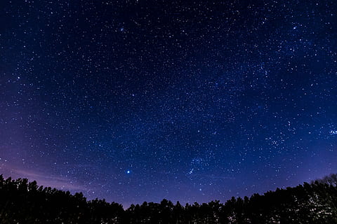 dark, night, silhouette, sky, stars, astronomy, star - Space, galaxy, milky Way, constellation, space, nebula, star Field, planet - Space, science, blue, nature, star Shape, tree, scenics - nature, tranquility, tranquil scene, beauty in nature, star, plant, no people, low angle view, idyllic, space and astronomy, 1080P