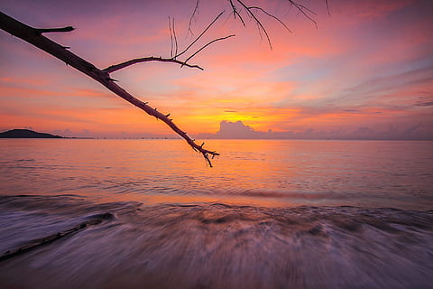 Meer, Dämmerung, Natur, Himmel, Geäst, Wolken, idyllisch, Ozean, szenisch, Seeschaum, seelandschaft, Strand, Sonnenaufgang, Sonnenuntergang, still, Wasser, Wellen, wolke - himmel, Szenen - Natur, Ruhe, Schönheit in der Natur, Land, ruhige Szene, orange Farbe, Horizont, Horizont über Wasser, draußen, Reflexion, keine Leute, 1080P, CC0, gemeinfrei, lizenzfrei