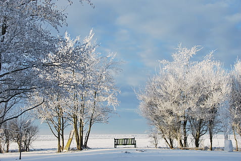 Winter, Schnee, winterlich, Baum, Landschaft, Winterbüsche, Natur, kalte Temperatur, Wetter, gefroren, Pflanze, Schönheit in der Natur, weiße Farbe, keine Leute, Szenen - Natur, Himmel, ruhige Szene, Umgebung, Land, Ruhe, Ast, Tag, Eis, extremes Wetter, draußen, schneit, Schneesturm, schneebedeckter Berg, 2K, CC0, gemeinfrei, lizenzfrei