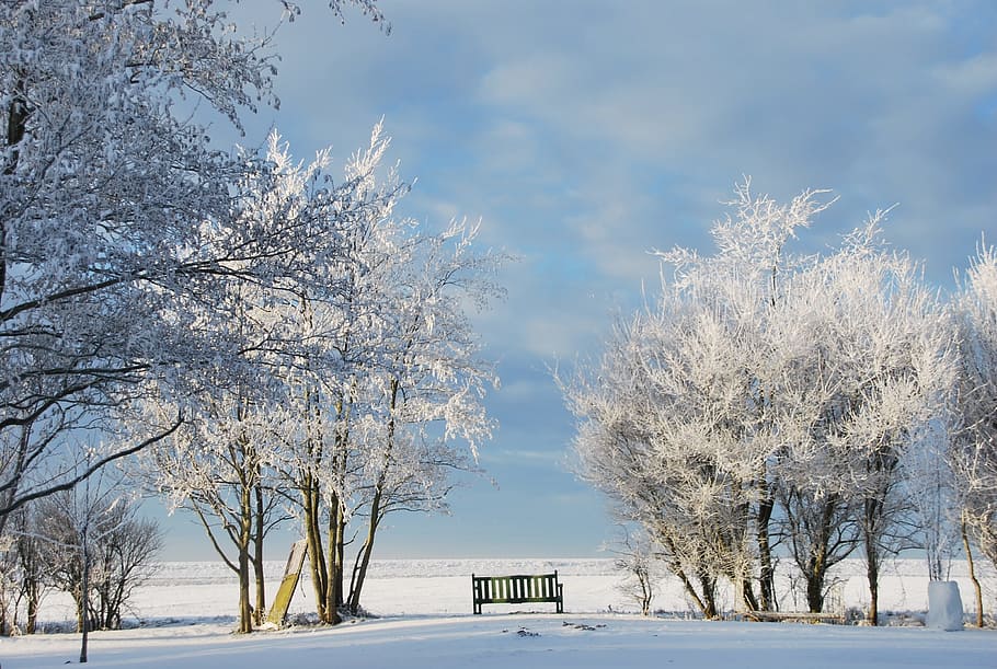 Winter, Schnee, winterlich, Baum, Landschaft, Winterbüsche, Natur, kalte Temperatur, Wetter, gefroren, Pflanze, Schönheit in der Natur, weiße Farbe, keine Leute, Szenen - Natur, Himmel, ruhige Szene, Umgebung, Land, Ruhe, Ast, Tag, Eis, extremes Wetter, draußen, schneit, Schneesturm, schneebedeckter Berg, 2K