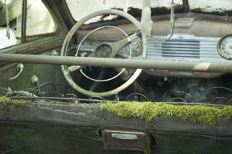automàtic, cementiri del cotxe, oldtimer, inoxidable, karre inoxidable, desguàs, desballestament del cotxe, nostàlgia, naufragis, ferralla, ferralla de metall, òxid, rovellat, restes de cotxes, manera de transport, transport, cotxe, automòbil, volant, cap gent, dia, metall, vehicle terrestre, obsoleta, abandonat, vell, espatllat, a l'aire lliure, primer pla, panell de control, interior del vehicle, estil retro, deteriorament, 2K