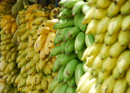 Grün, Gelb, Bananen, Obst, Lebensmittel, Frische, Natur, Landwirtschaft, gesundes Essen, reif, grüne Farbe, organisch, Essen und Trinken, Rohkost, Banane, Nahansicht, Vollbild, Wohlbefinden, große gruppe von gegenständen, Markt, Fülle, Verkauf, Hintergründe, keine Leute, Tropische Frucht, zu verkaufen, Tag, draußen, 720P, CC0, gemeinfrei, lizenzfrei