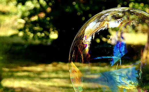 superficial, fotografía de enfoque, burbuja, burbuja de jabón, enorme, grande, hacer pompas de jabon, Wabbelig, iridiscente, agua jabonosa, divertido, volar, vistoso, naturaleza, transparente, de cerca, centrarse en primer plano, material de vidrio, fragilidad, vulnerabilidad, enfoque selectivo, día, planta, reflexión, nadie, al aire libre, brillante, esfera, vaso, árbol, hierba, luz del sol, 2K, CC0, dominio público, libre de derechos