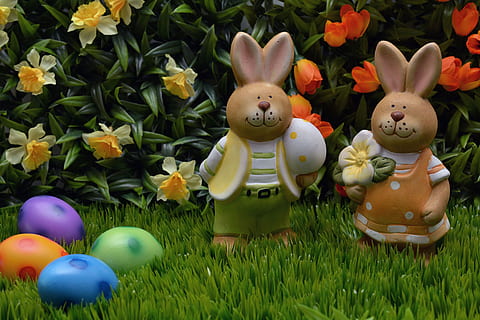 Due, coniglietto, uova di Pasqua, giardino, coniglietto di Pasqua, coniglio, Pasqua, uovo, arancia, viola, verde, blu, macchiato, fiori, primavera, erba, decorazione di Pasqua, decorazione, buona Pasqua, uovo di Pasqua, lepre, auguri di Pasqua, celebrazione di Pasqua, rappresentazione, pianta, vacanza, rappresentazione animale, celebrazione, nessuno, fiore, pianta fiorita, natura, colore verde, arte e artigianato, creatività, multicolore, avvicinamento, 4K, CC0, dominio pubblico, privo di copyright