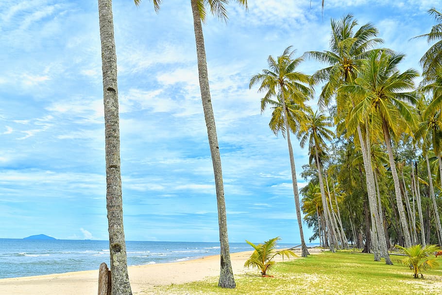 mar, paisatge, naturalesa, cel, platja, blau, núvols, arbres de coco, herba, verd, idíl·lic, illa, oceà, a l'aire lliure, palmell, palmeres, paradís, relaxació, Resort, sorra, paisatge marí, vora del mar, temporada, Riba, estiu, sol, assolellat, viatjar, tropical, vacances, aigua, planta, Palmera, arbre, núvol - cel, bellesa a la natura, terra, clima tropical, escena tranquil·la, escenics - natura, tranquil·litat, creixement, tronc de l'arbre, tronc, dia, cap gent, horitzó sobre l’aigua, palmera de coco, arbre tropical, 5K