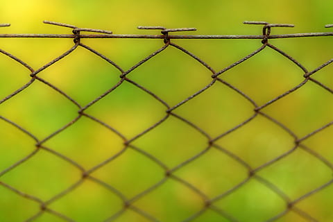 tvora, fonas, viela, tinklą, modelį, spygliuota viela, tekstūra, neryškus, bokeh, demarkacija, metalo, Uždaryti, rizika, barjeras, saugumą, riba, aptverta, tiefenschärfe, žalias, pavojinga, kalėjimas, tinklinė tvora, vielos tinklas, apsauga, Iš arti, nėra žmonių, žalia spalva, visą kadrą, pobūdį, sutelkti dėmesį į naujas žinias, technologijos, atrankinis dėmesys, 4K, CC0, Viešasis domenas, nemokamai