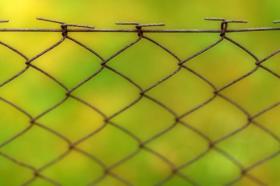 tanca, fons, cable, xarxa, patró, filferro espinós, textura, borrós, bokeh, demarcació, metall, tancar, risc, barrera, seguretat, límit, tancat, tiefenschärfe, verd, perillós, presó, tanca d'enllaç de cadena, embolic de cables, protecció, primer pla, cap gent, color verd, marc complet, naturalesa, centrar-se en primer pla, tecnologia, enfocament selectiu, 4K