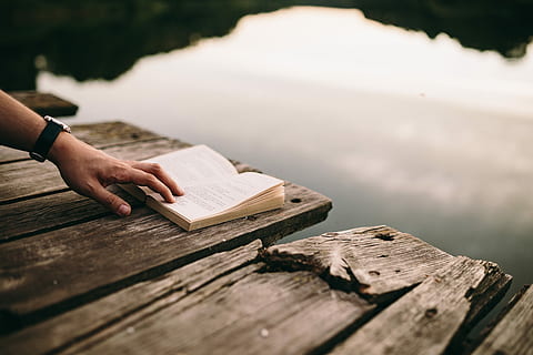 lake, Reading book, summer, resting, book, relaxing, time, evening, magic hour, girl reading book, boy reading book, man with book, woman with book, opened book, nature, outdoors, wood - Material, people, one Person, copy Space, human hand, human body part, one man only, hand, water, day, pier, body part, adult, jetty, plank, holding, focus on foreground, tree, finger, 5K