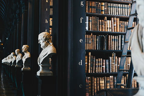 Buch viel, schwarz, hölzern, Regal, Kopf Büste viel, Stand, Büste, Statue, Mann, Bibliothek, Referenz, Skulptur, Buch, Geschichte, alt, historisch, Marmor, dunkel, Innen-, Innerhalb, menschliche Darstellung, Veröffentlichung, Darstellung, Bücherregal, drinnen, männliche Ähnlichkeit, Bildung, die Architektur, in einer Reihe, Kunst und Handwerk, keine Leute, Kreativität, große gruppe von gegenständen, 5K, CC0, gemeinfrei, lizenzfrei