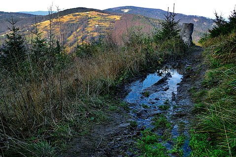 piscina, fang, muntanyes, ruta, paisatge, ruta de senderisme, vista, beskids, turisme, rambles, muntanya, naturalesa, escenics, aigua, a l'aire lliure, riu, dia, planta, pantà, cap gent, escenics - natura, tranquil·litat, bellesa a la natura, escena tranquil·la, escena no urbana, creixement, terra, arbre, medi ambient, cel, color verd, herba, aigua que flueix, arruïnat, 2K, CC0, domini públic, lliure de regalies