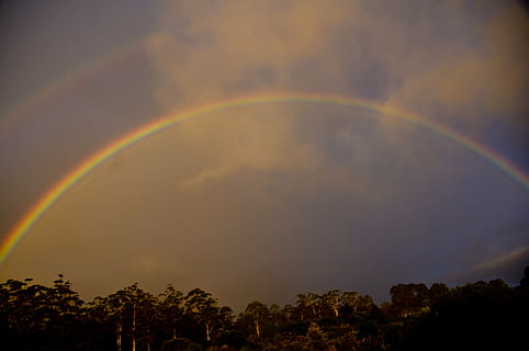 arcobaleno, cielo, nuvole, grigio, orizzonte, alberi, natura, tramonto, bellezza nella natura, albero, pianta, idilliaco, doppio arcobaleno, nuvola - cielo, scenics - natura, la tranquillità, scena tranquilla, nessuno, multicolore, fenomeno naturale, ambiente, scena non urbana, Inquadratura dal basso, all'aperto, pioggia, 2K, CC0, dominio pubblico, privo di copyright