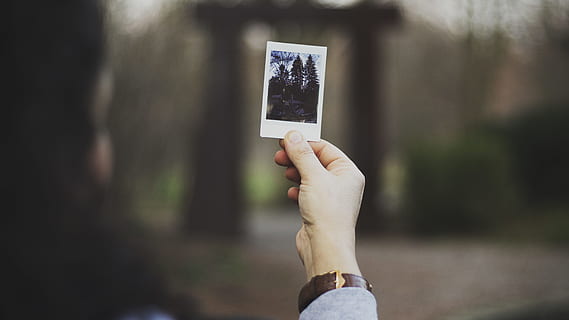 person, bedrift, Foto, træer, billede, overfladisk, dybde, Mark, daytimer, hånd, polaroid, udendørs, natur, mennesker, Kvinder, menneskelig hånd, en person, fotografi, menneskelig kropsdel, dag, barn, voksen, fotografering temaer, fokus på forgrunden, hunner, emotion, barndom, kropsdel, positive følelser, afkom, teenager, overvejelse, kærlighedsbrev, 5K, CC0, offentligt domæne, royaltyfrie