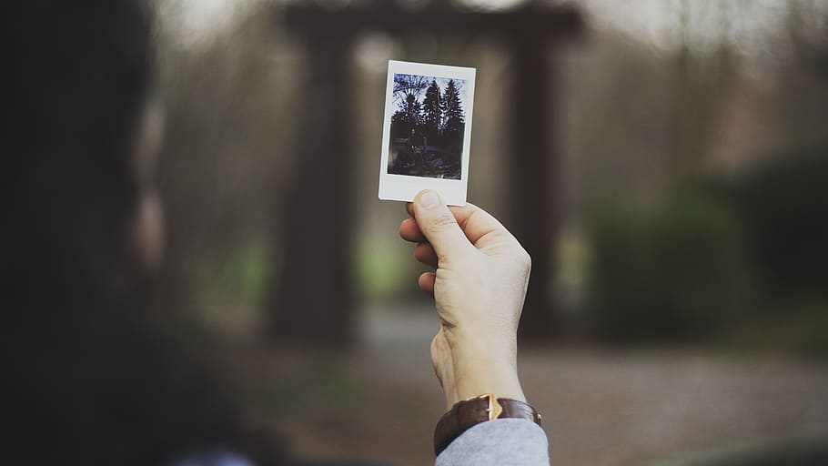persona, celebració, foto, arbres, imatge, poc profund, profunditat, camp, daytimer, mà, Polaroid, a l'aire lliure, naturalesa, gent, dones, mà humana, una persona, fotografia, part del cos humà, dia, nen, adult, temes de fotografia, centrar-se en primer pla, femelles, emoció, infància, part del cos, emoció positiva, descendència, adolescent, contemplació, carta d’amor, 5K