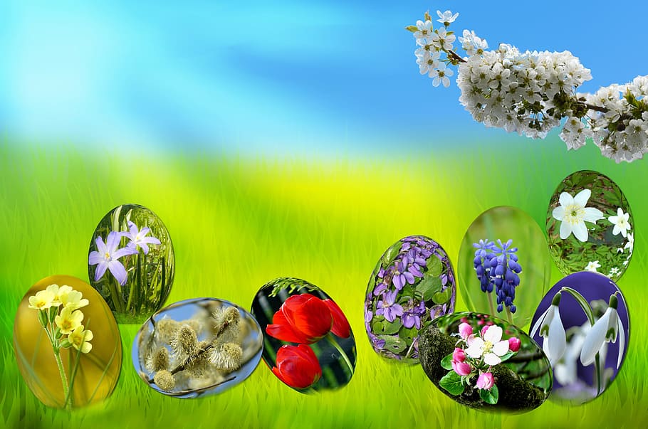 uova di Pasqua, primavera, sole, erba verde, Pasqua, uova, erba, verde, cielo, blu, luce, primula, tulipano, viola, muscari, bucaneve, anemone, salice, bocciolo di mela, fioritura, frusta, fiori, fogliame, prato, natura, fiore, nessuno, multicolore, pianta, bellezza nella natura, pianta fiorita, freschezza, fragilità, vulnerabilità, avvicinamento, testa di fiore, colore verde, infiorescenza, composizione floreale, natura morta, in casa, mazzo, giallo, luminosa, un mazzo di fiori, lusso, 4K