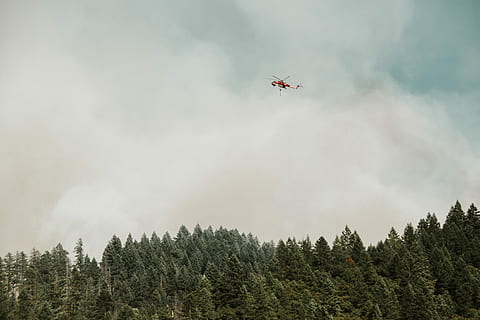 the fight, forest fire, daytime, helicopter, forest, cloudscape, smog, tree, smoke, fire, flying, airforce, pine forest, landscape, in the air, firefighter, mode of transportation, cloud - sky, sky, transportation, air vehicle, plant, nature, low angle view, mid-air, airplane, no people, day, motion, smoke - physical structure, on the move, land, outdoors, plane, 5K, CC0, public domain, royalty free