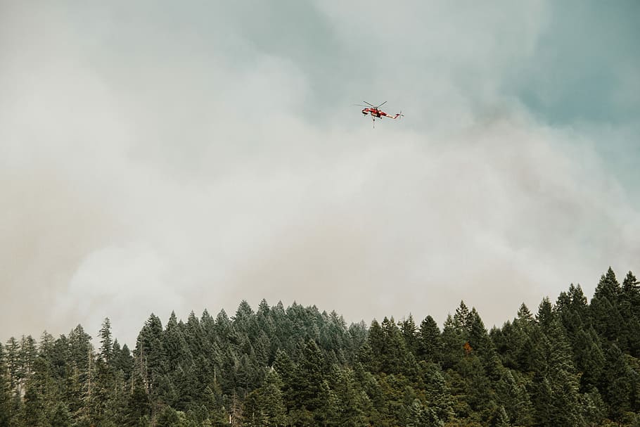 the fight, forest fire, daytime, helicopter, forest, cloudscape, smog, tree, smoke, fire, flying, airforce, pine forest, landscape, in the air, firefighter, mode of transportation, cloud - sky, sky, transportation, air vehicle, plant, nature, low angle view, mid-air, airplane, no people, day, motion, smoke - physical structure, on the move, land, outdoors, plane, 5K