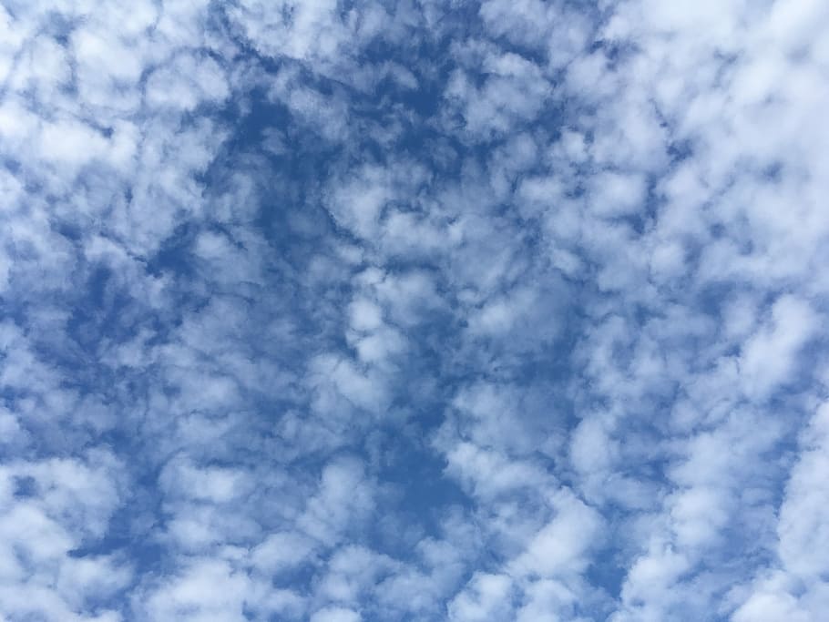 núvols, altocumulus, cel blau, temps, cel, blau, blanc, ennuvolat, textura, natural, cloudscape, dia, naturalesa, atmosfera, fons, núvol - cel, vista d’angle baix, bellesa a la natura, escenics - natura, tranquil·litat, cap gent, marc complet, Color blanc, a l'aire lliure, escena tranquil·la, idíl·lic, medi ambient, meteorologia, netejar, 4K