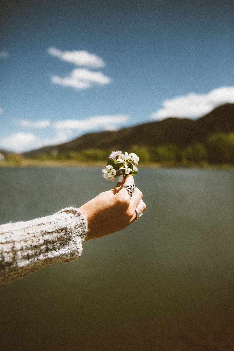 kvinde, bedrift, hvid, blomstrede blomster, overfladisk, fokus fotografering, blomster, stor, legeme, vand, dagtimerne, person, flok, sø, bjerg, hånd, blomst, ring, natur, menneskelig hånd, udendørs, mennesker, sommer, grøn farve, en person, miljø, menneskelig kropsdel, dag, plante, skønhed i naturen, himmel, blomstrende plante, fokus på forgrunden, rigtige mennesker, friskhed, finger, 2K