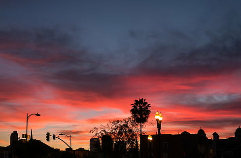 silhouette, alberi, edifici, crepuscolo, tramonto, rosa, cielo, nuvole, città, nuvola - cielo, cielo drammatico, albero, natura, Paesaggi, nessuno, all'aperto, architettura, esterno dell'edificio, struttura costruita, colore arancione, bellezza nella natura, pianta, lampione, scenics - natura, costruzione, strada, cielo romantico, 4K, CC0, dominio pubblico, privo di copyright