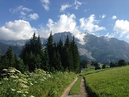 ramsau, Dachstein, sendero, primavera, prado, arboles, montañas, belleza en la naturaleza, nube - cielo, planta, paisajes - naturaleza, cielo, escena tranquila, montaña, árbol, tranquilidad, crecimiento, el camino a seguir, dirección, color verde, naturaleza, escena no urbana, ambiente, día, nadie, paisaje, tierra, cordillera, al aire libre, 2K, CC0, dominio público, libre de derechos
