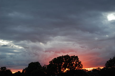 tramonto, nube, vena, nuvola - cielo, cielo, albero, pianta, bellezza nella natura, scenics - natura, nessuno, silhouette, natura, la tranquillità, cielo drammatico, scena tranquilla, all'aperto, colore arancione, idilliaco, tempesta, crescita, Cloudscape, infausto, 1080P, CC0, dominio pubblico, privo di copyright