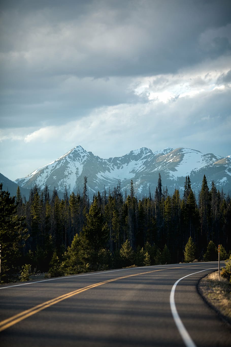 arbres verds, muntanya, muntanya alta, núvol, cel, cim, cresta, paisatge, naturalesa, vall, arbres, planta, carretera, viatjar, a l'aire lliure, alberta, escenics, Muntanyes rocoses, Canadà, Serra, parc nacional de banff, núvol - cel, bellesa a la natura, transport, escenics - natura, arbre, símbol, tranquil·litat, marcatge de carreteres, cap gent, marcatge, dia, escena tranquil·la, el camí a seguir, direcció, muntanya nevada, línia divisòria, 5K