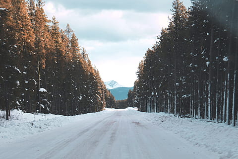 route, rempli, neige, Aller, Montagne, des arbres, couvert, entouré, du froid, région sauvage, nuage, hiver, la nature, arbre, froid - température, forêt, paysage, en plein air, congelé, scène non urbaine, saison, gel, la glace, paysages, scène rurale, des bois, personne, blanc, Météo, température froide, la voie à suivre, direction, transport, plante, ciel, perspective décroissante, nuage - ciel, couvrant, beauté dans la nature, Point de fuite, paysages - nature, couleur blanche, bordé d'arbres, longue, 5K, CC0, domaine public, libre de droits