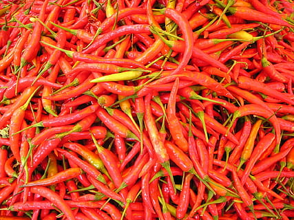roter Chili viel, Chili-Pfeffer, Scharf, Gewürze, Laos, Chili, heiß, rot, Süd-Ost, Asien, so, Thailand, Essen und Trinken, Lebensmittel, Gemüse, Pfeffer, würzen, Stillleben, Vollbild, Hintergründe, Frische, große gruppe von gegenständen, Wohlbefinden, rote Chilischote, Fülle, keine Leute, High Angle View, Nahansicht, gesundes Essen, zu verkaufen, vegetarisches Essen, 1080P, CC0, gemeinfrei, lizenzfrei