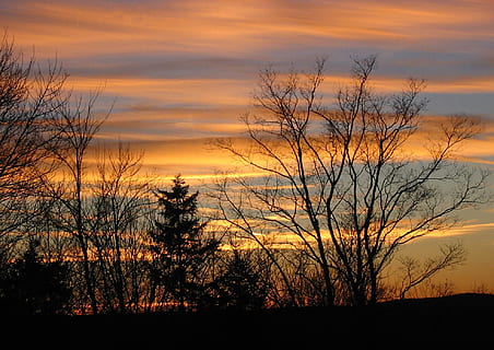 puesta de sol, invierno, al aire libre, paisaje, árbol, bosque, fondo del atardecer, cielo, silueta, nube - cielo, belleza en la naturaleza, paisajes - naturaleza, color naranja, escena tranquila, tranquilidad, planta, árbol desnudo, naturaleza, nadie, idílico, escena no urbana, cielo dramático, crecimiento, rama, cielo romantico, 1080P, CC0, dominio público, libre de derechos